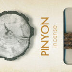 Jiri & Friends - Pinyon