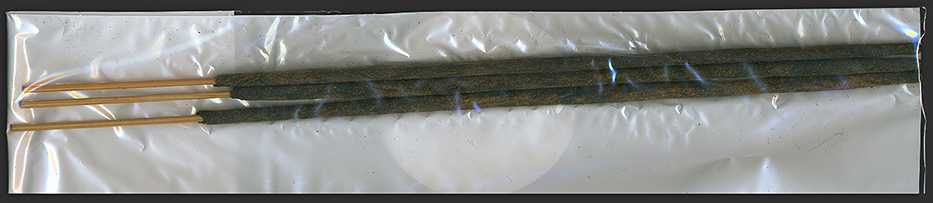 Balaji - Botanical Garden