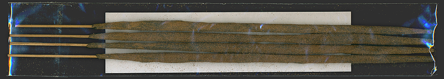 Bhagwan - Ocean Flower