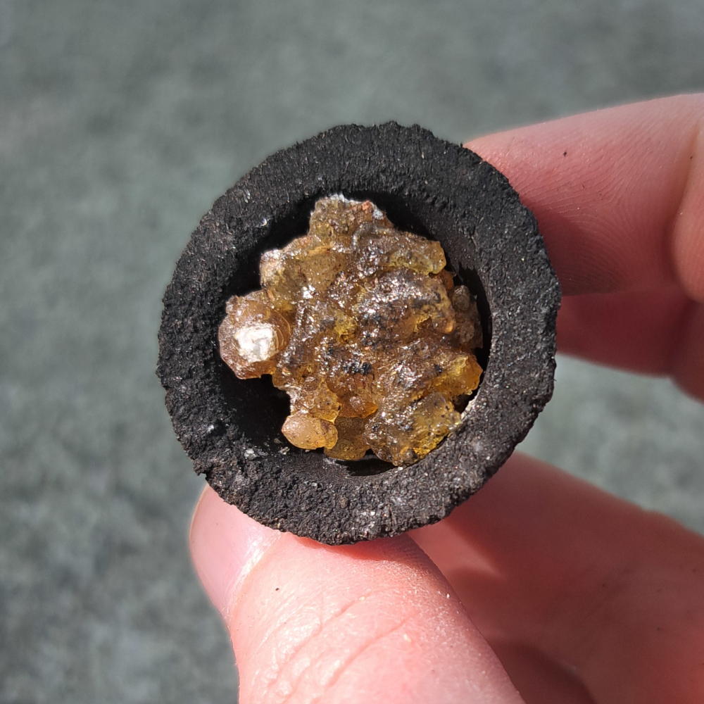 Aromatika - Navagraha