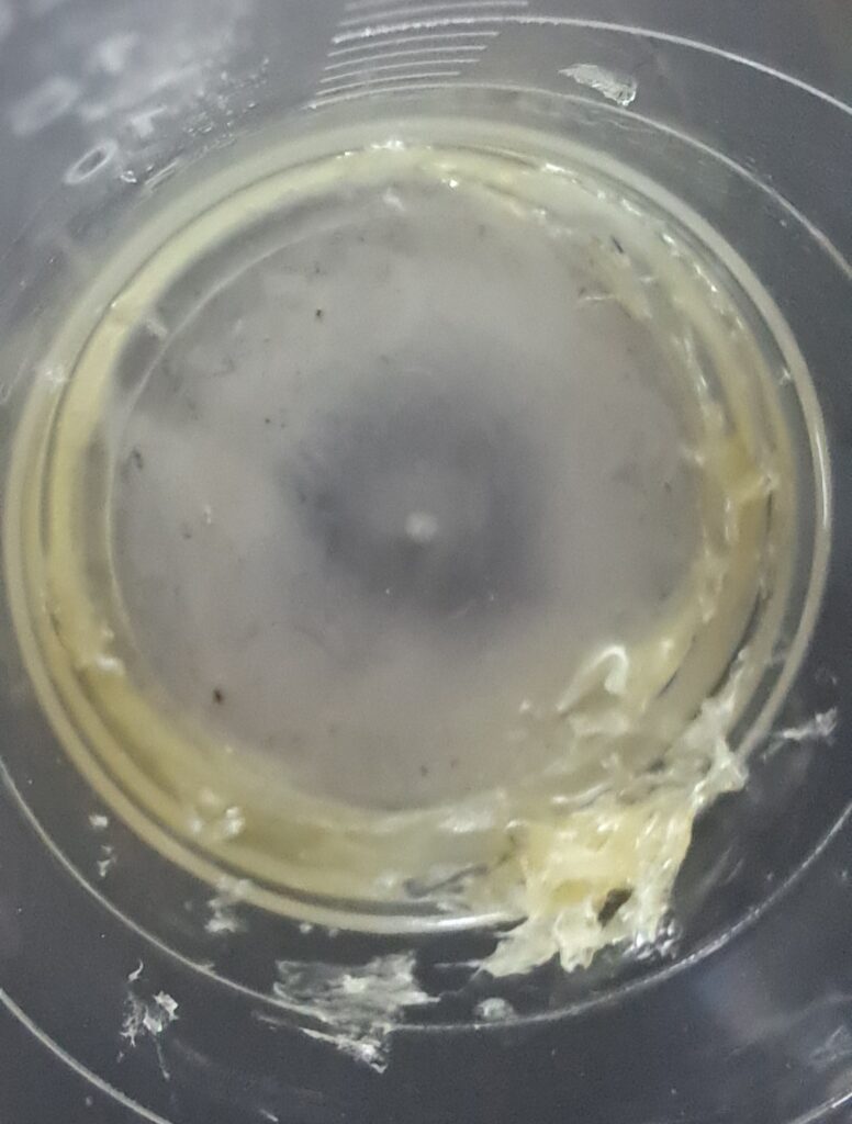 Temple Copal Resin Residue